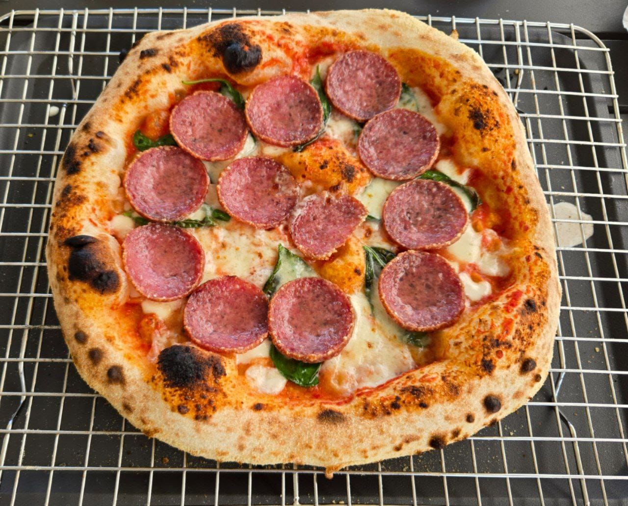 Customer photo review of Gozney Arc XL Gas Pizzaofen