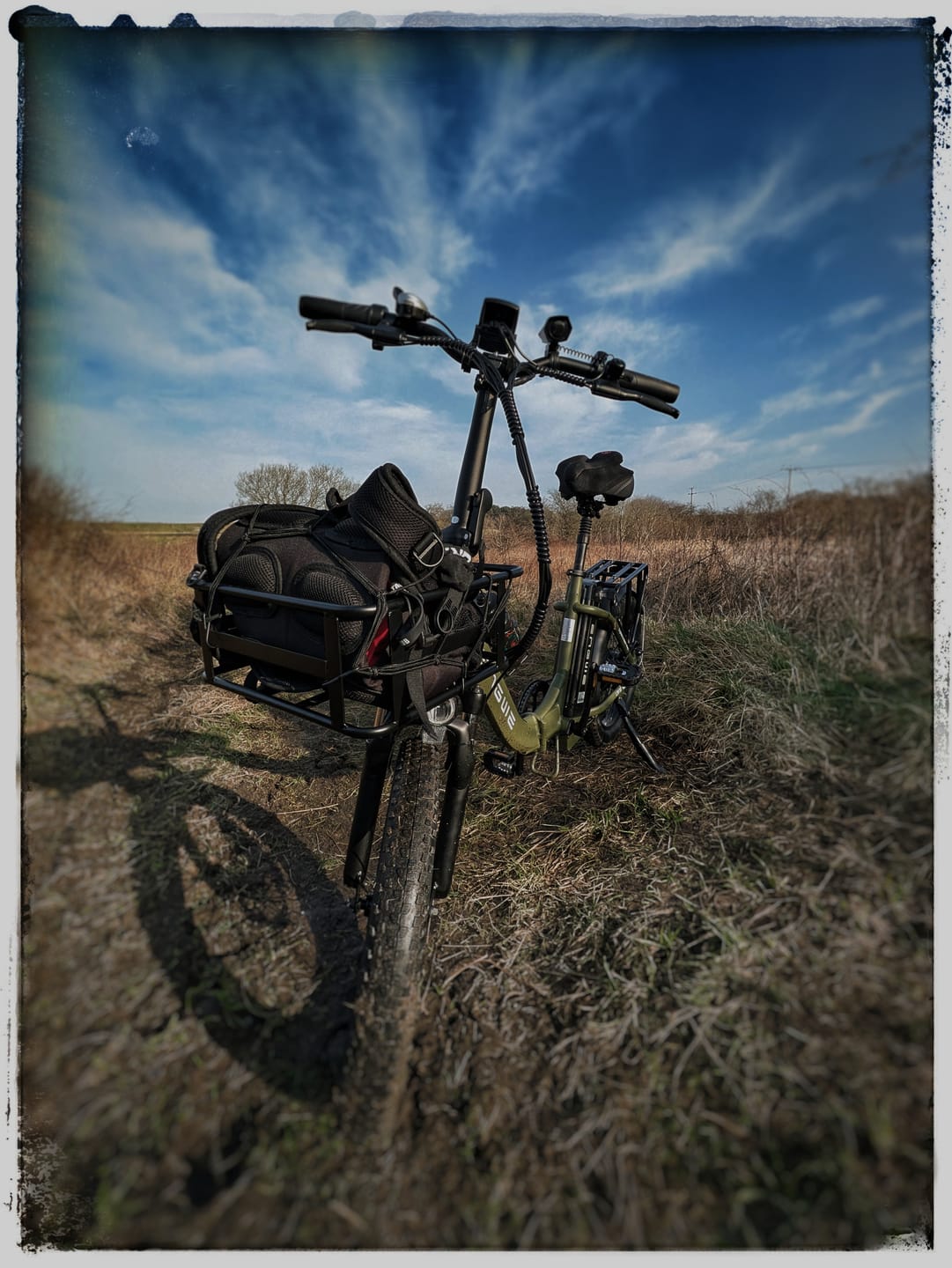 Customer photo review of Engwe L20 SE 250W 20" Foldable Electric Trekking Bike 561Wh Step-through E-bike