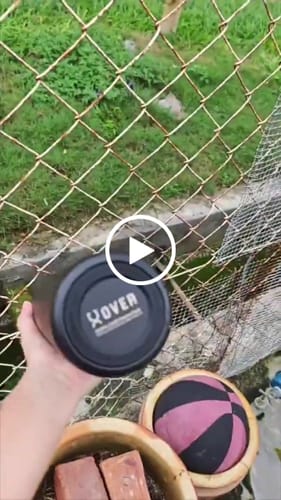 Customer video review of 900ml OVER Wave Thermo Duo Lid Flask