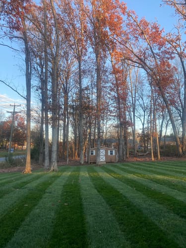 Customer photo review of GCI Turf 30-0-0 G