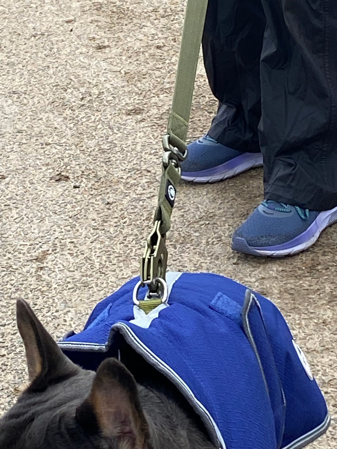 Customer photo review of 1.4m Lighter Swivel Combat Lead | Anti-Tangle & Secure Clip - Khaki x Khaki