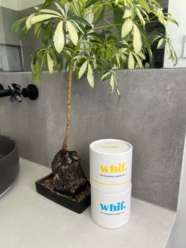 Customer photo review of Fragrance Library Combo