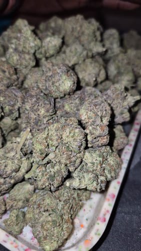 Customer photo review of Wholesale THCA Flower Full Size Buds