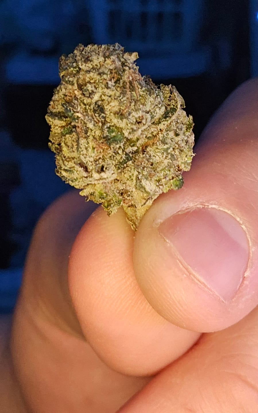 Customer photo review of THCa Exotic Mediums & Smalls
