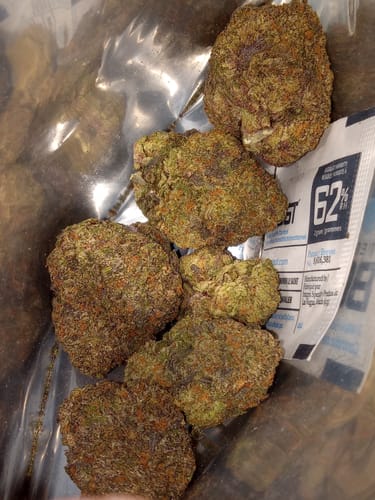 Customer photo review of Jealousy