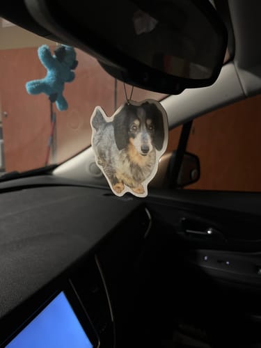 undefined review of Custom Air Freshener image 1 out of 1