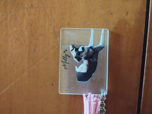 Customer photo review of Μπρελόκ με το Δικό σας Κατοικίδιο