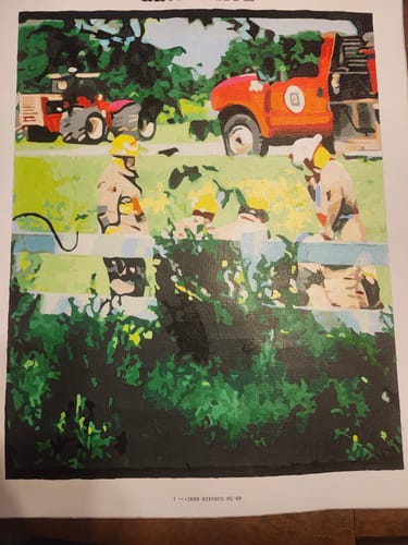 Customer photo review of Custom Paint by Numbers Kit
