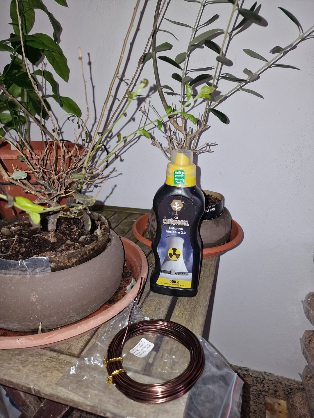 Customer photo review of FILO PER BONSAI PROFESSIONALE