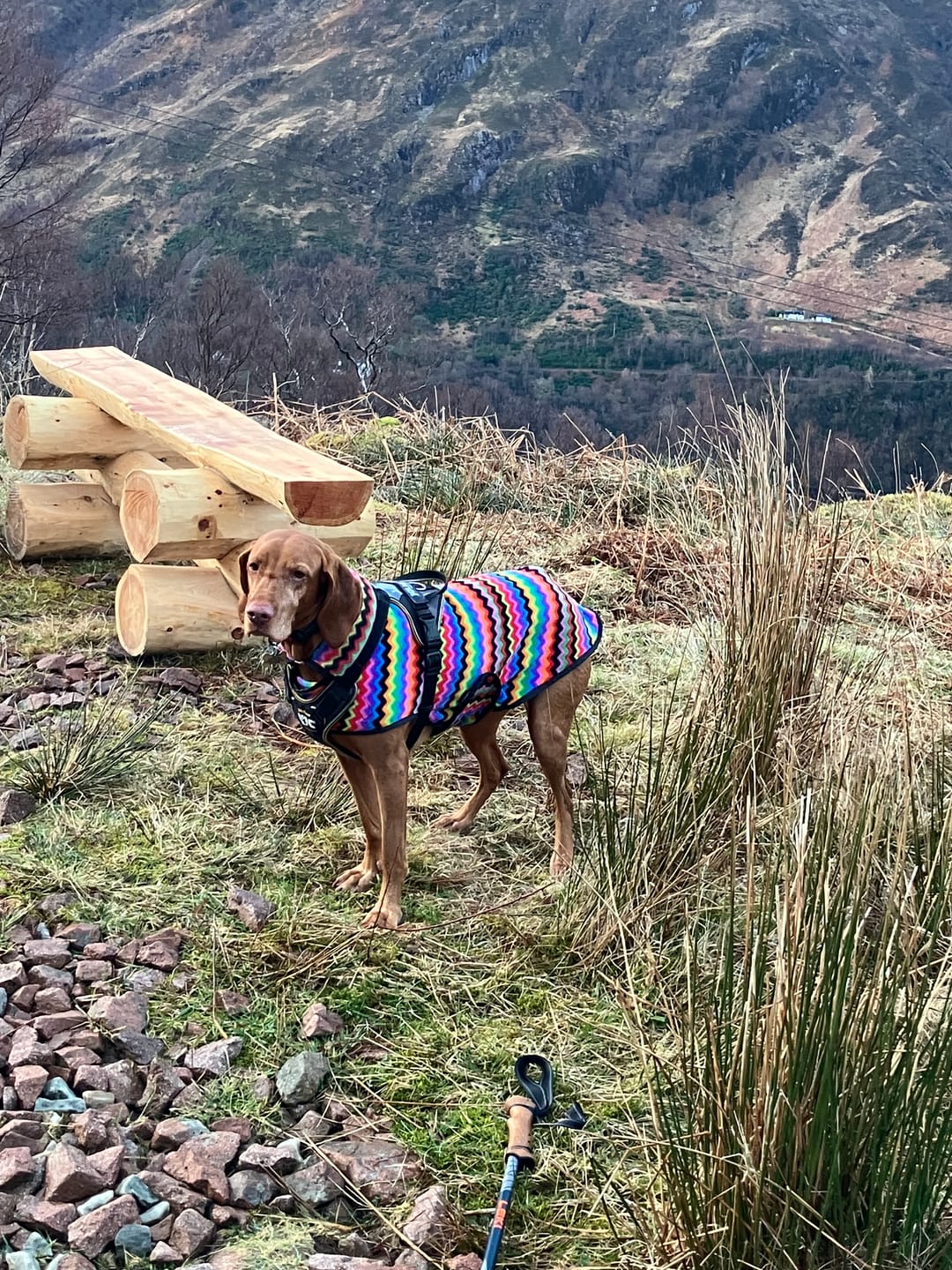 Customer photo review of Multicoloured Zig Zag Anti Pill Polar Fleece