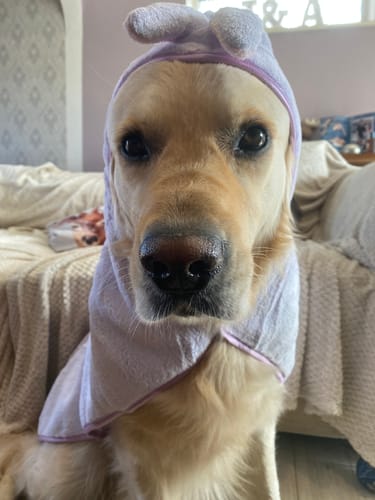 Customer photo review of Disney© Hooded Microfibre Towel - Bambi + Friends Lilac