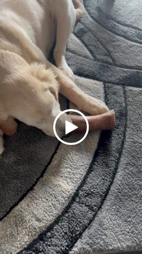 Customer video review of Himalayan Yak Cheese Chew Dog Treat