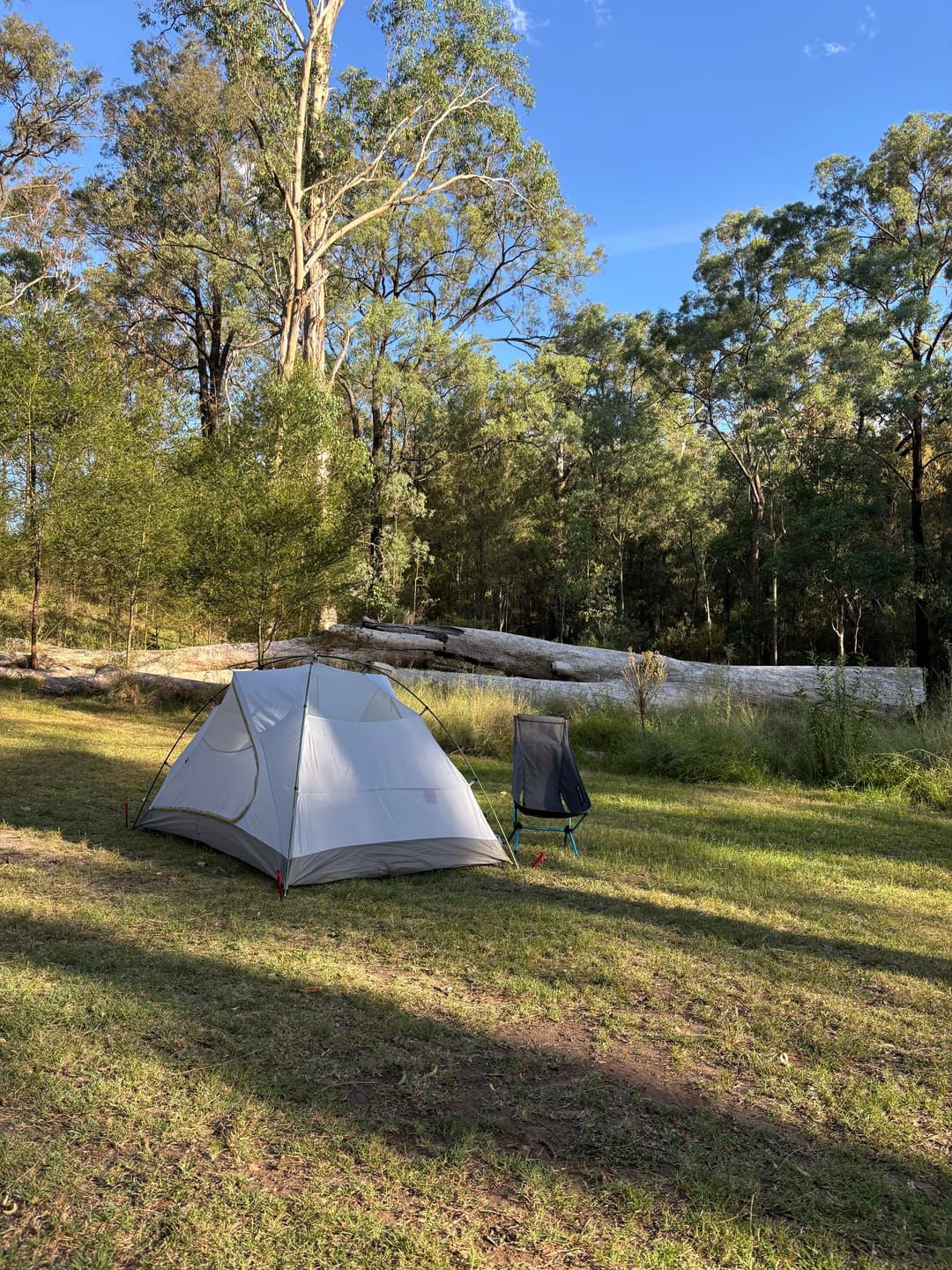 Customer photo review of Waratah