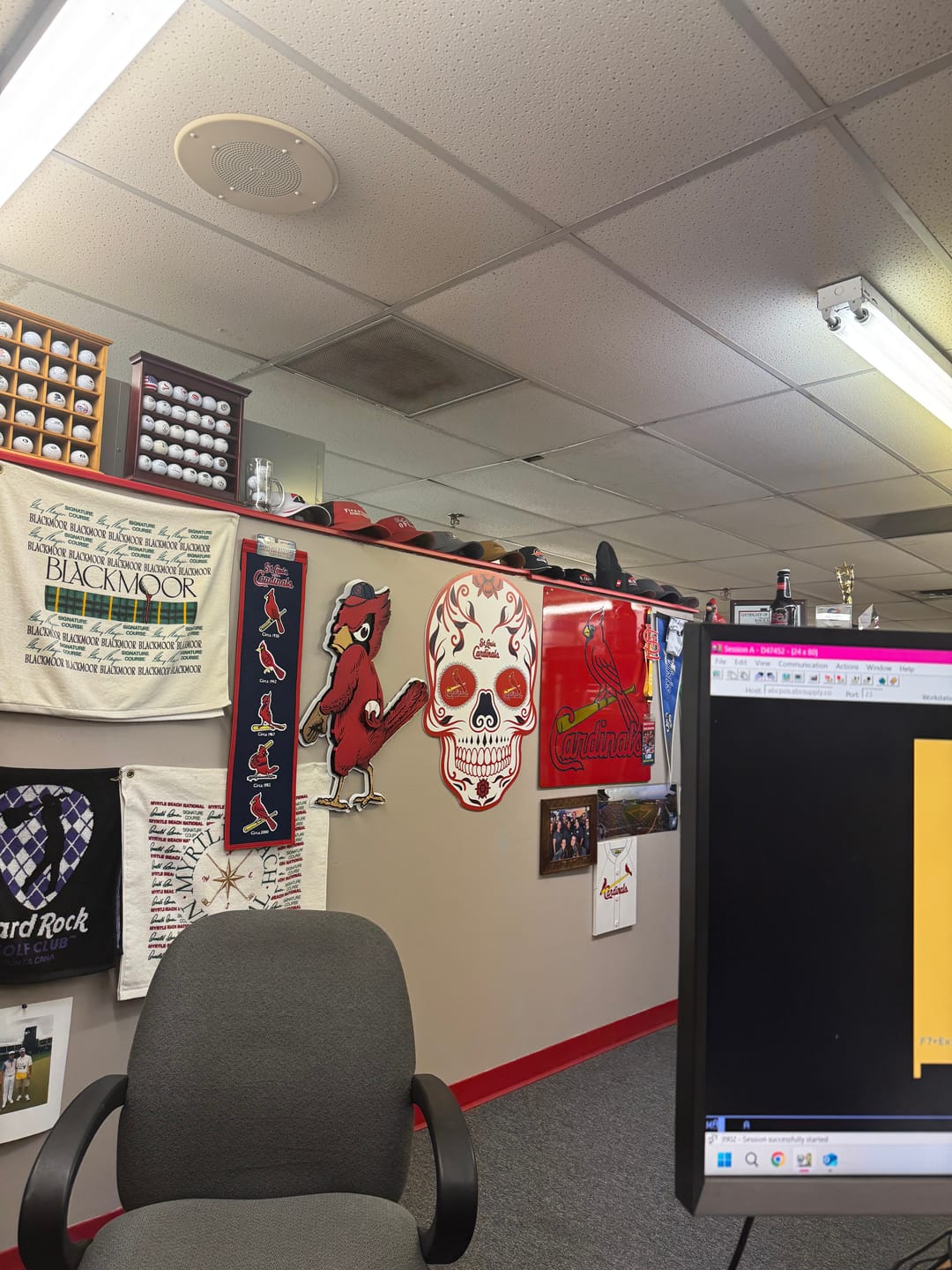 Customer photo review of St. Louis Cardinals "VINTAGE CARDINAL" Logo 3D Metal Wall Art