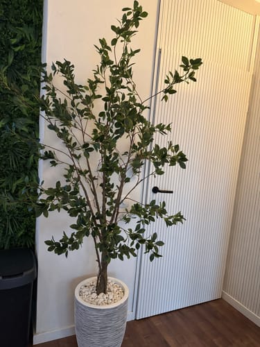 Customer photo review of Ficus Kunstplant 180cm