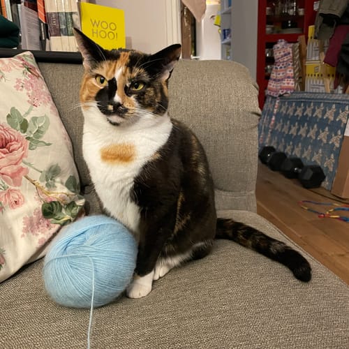 Customer photo review of Curate Crochet Box - Monthly Subscription