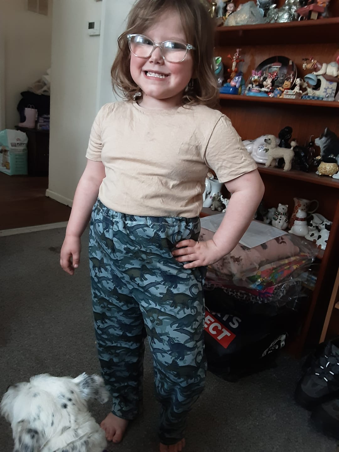 Customer photo review of Dinosaurs Sweatshirt Fabric