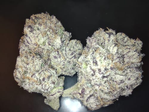 Customer photo review of Purple Frost