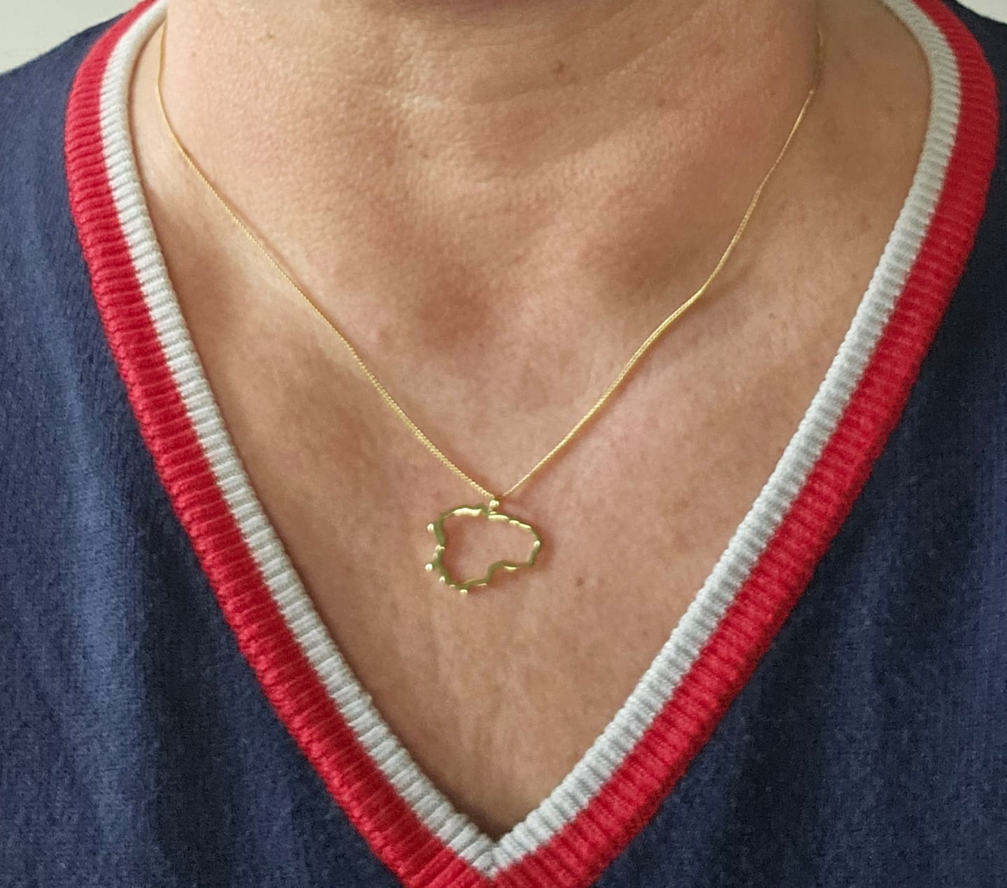 Customer photo review of Paauksuotas Sidabrinis pakabukas "Lietuva"