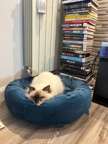 Customer photo review of Cuccia Tonda Velluto Ottanio