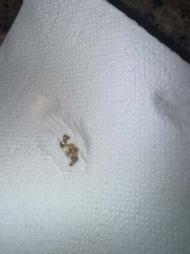 Customer photo review of Nugget Reserve 'MUSEUM SPECIMEN CHASE' - Gold Panning Paydirt Concentrate