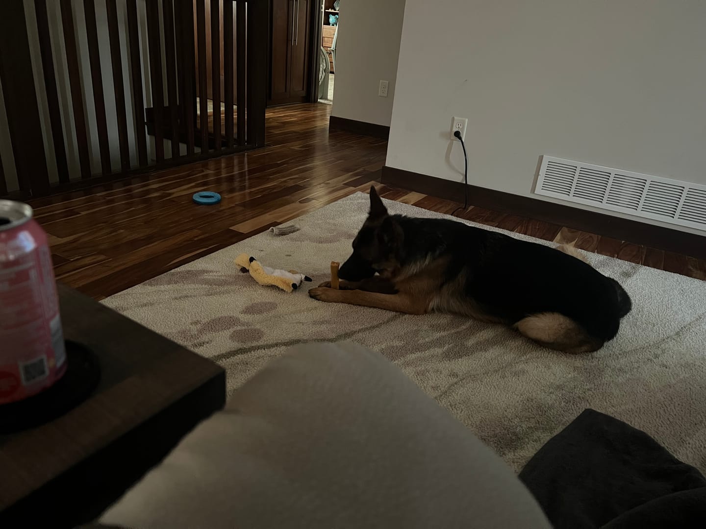 Customer photo review of Himalayan Yak Cheese Chew Dog Treat