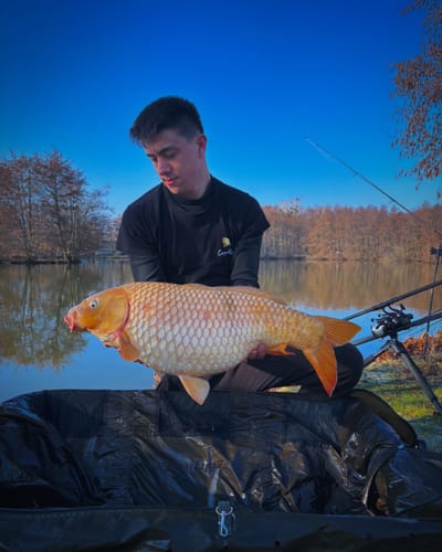Customer photo review of PACK AMBASSADEUR + TRANSPORT INCLUS