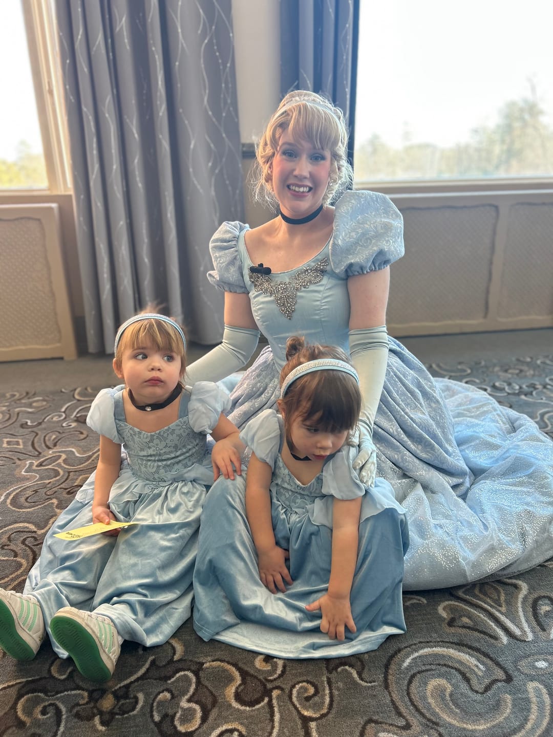 Customer photo review of Portrait Collection Cinderella Gown