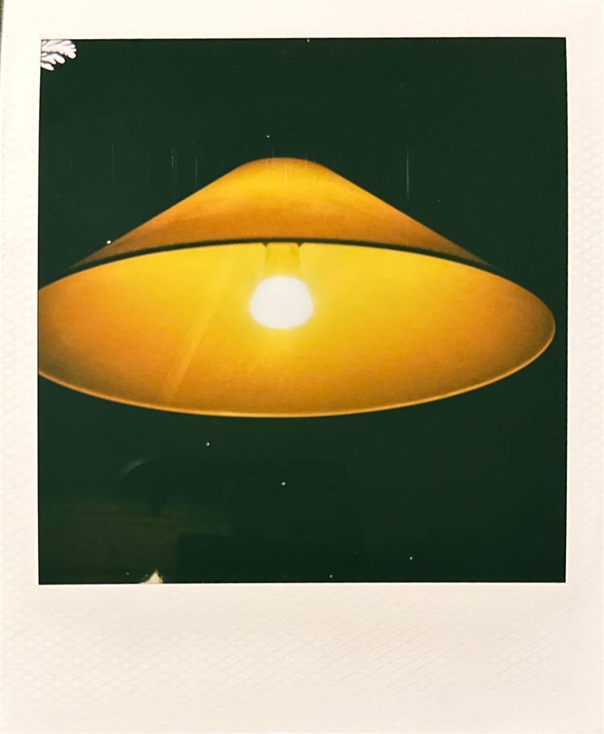 Customer photo review of Polaroid 600 Color Instant Film