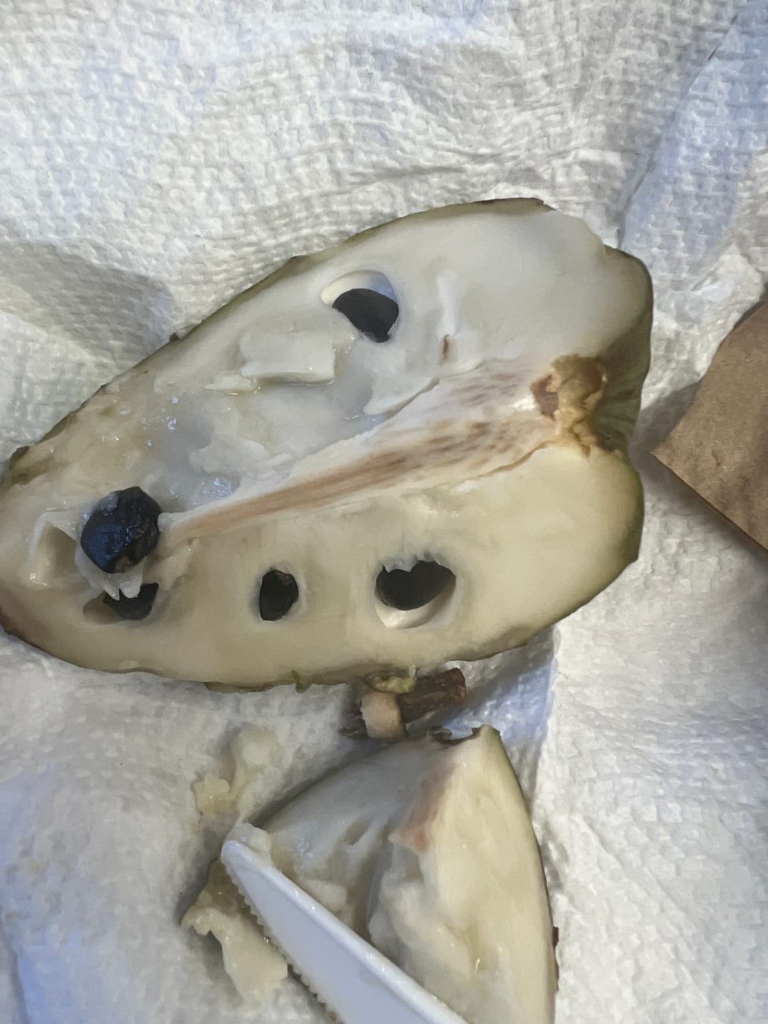 Customer photo review of Annona Variety Box