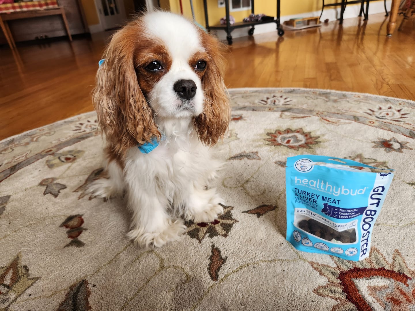 Customer photo review of Turkey Gut Booster