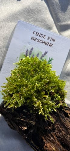 Customer photo review of Gefunden! Outdoor Suchspiel