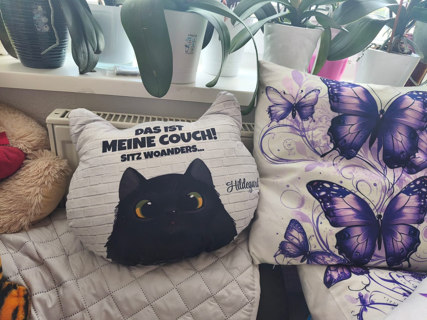 Customer photo review of Unsere Couch - Individuelles Formkissen