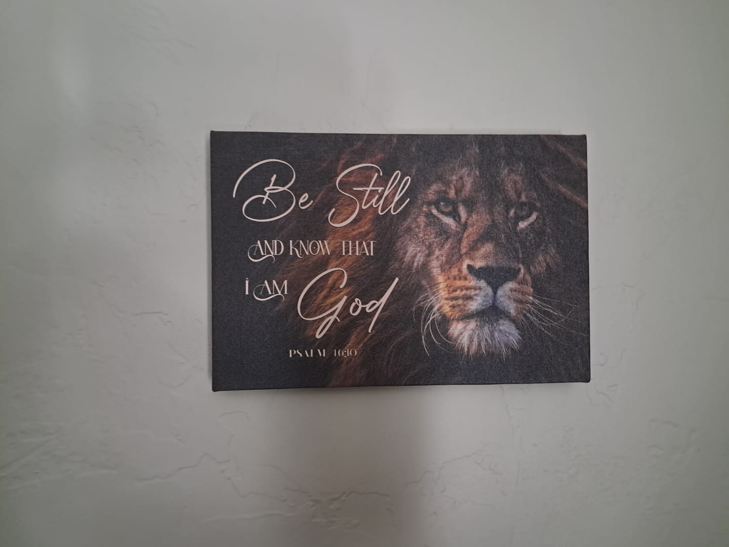 Customer photo review of Be Still And Know That I Am God, Lion Of Judah, Christian Wall Art Canvas