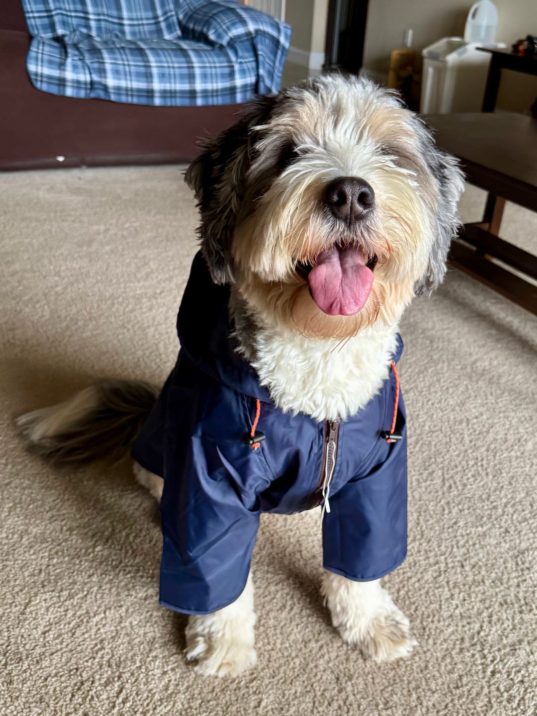 Customer photo review of Nylon Rainbreaker
