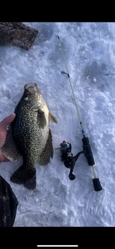 Customer photo review of Custom Carbon Ice Rod