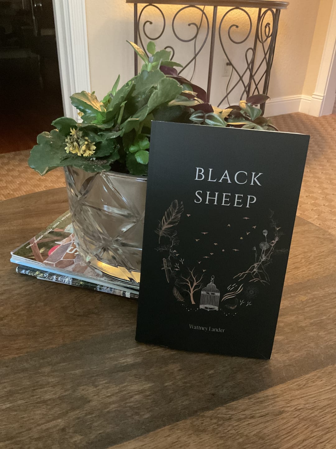Customer photo review of Black Sheep