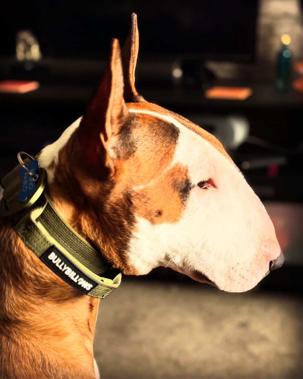 Customer photo review of 4cm LIGHTER Combat® Collar | Handle Rated Clip - Khaki x Khaki