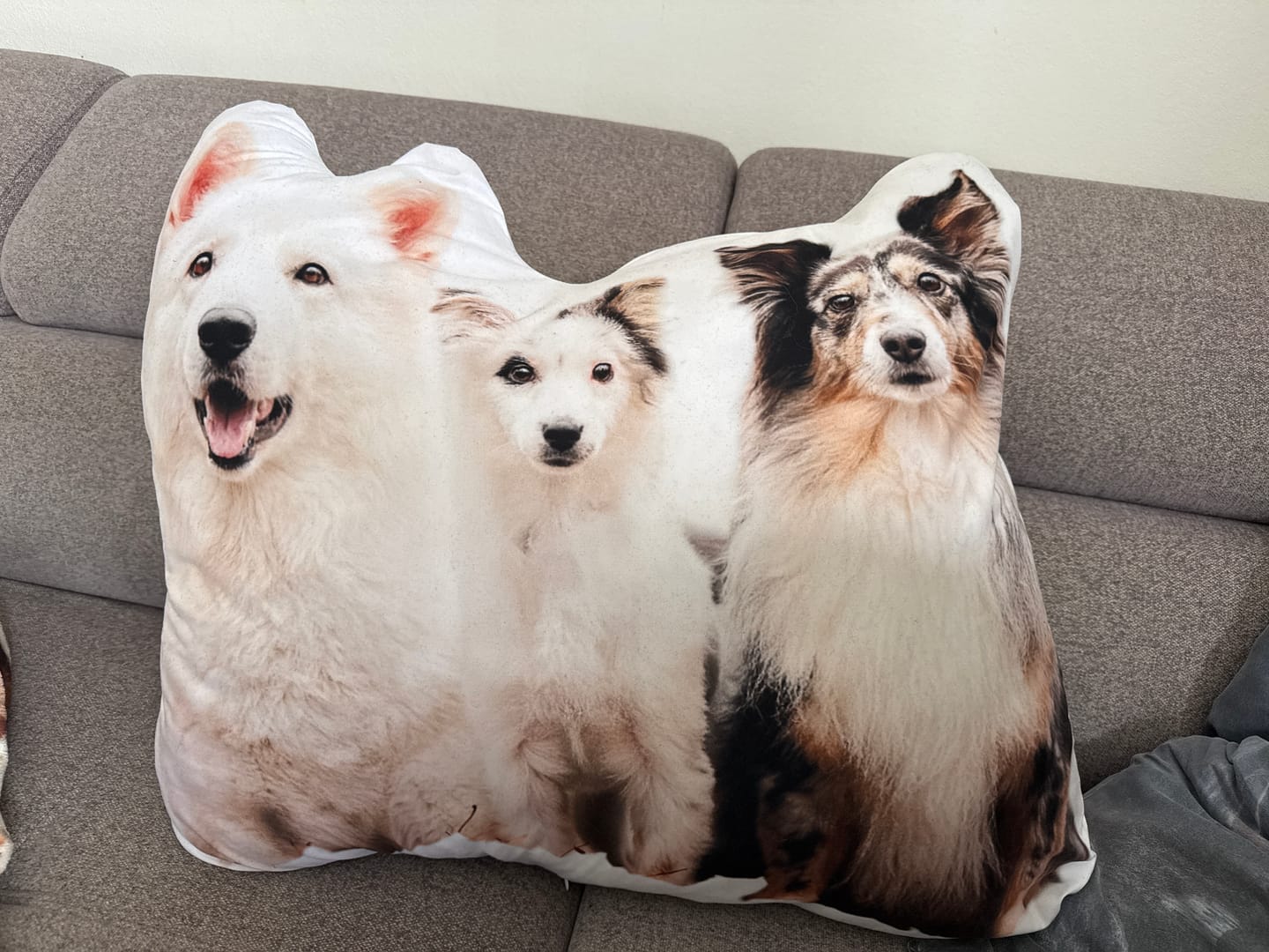 Customer photo review of Personalisiertes Hundekissen
