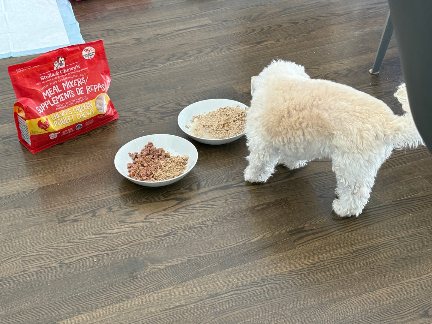 Customer photo review of Stella & Chewy - Meal Mixers pour chien