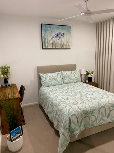 Customer photo review of Undersea Turtle, by Danhui Nai