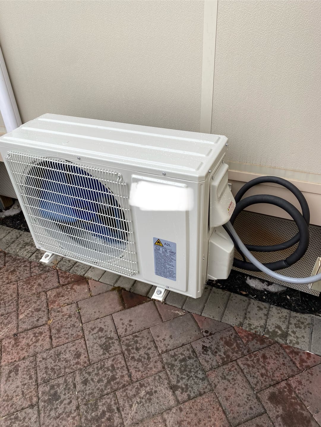 Customer photo review of Shipping Protection