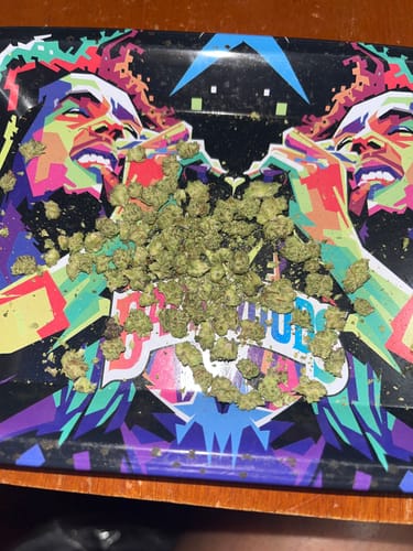 Customer photo review of Lemon Cherry Gelato Runtz - 28 Grams Littles (Micros) - Hybrid