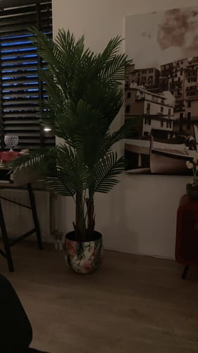 Customer photo review of Kunstpalm 180cm