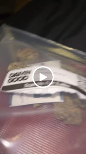 Customer video review of Chicago Runtz