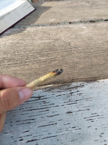 Customer photo review of Oreoz - 28 Grams - Minis (Hybrid)