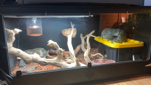 Customer photo review of XT4 BIO24 (48Lx24Dx24H) - STACKABLE