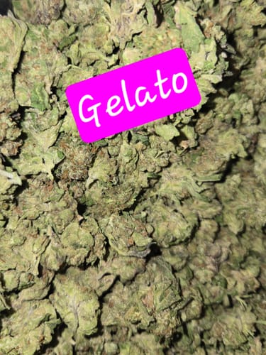 Customer photo review of Bulk Greenhouse Smalls