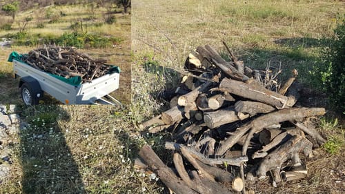 Customer photo review of 18V Nexxsaw Cordless One-Hand Chainsaw 6'' V3