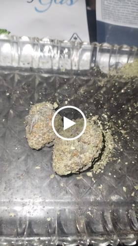 Customer video review of Purple Push Pop -THCa Flower